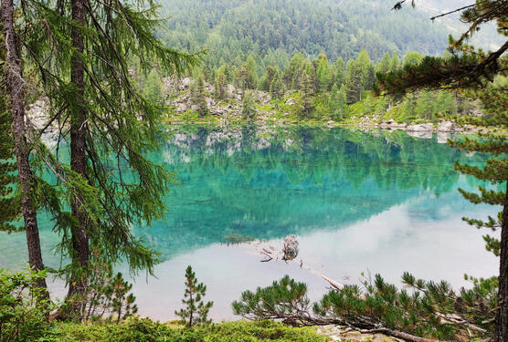 Laghi Laghi