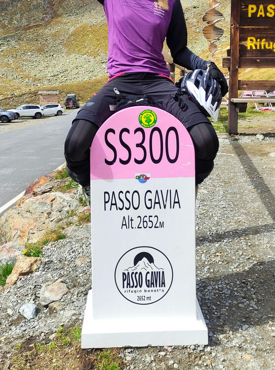 Passo Gavia